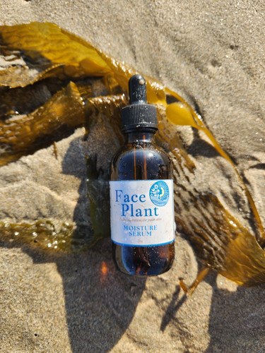 Moisture Serum | face-plant-skincare