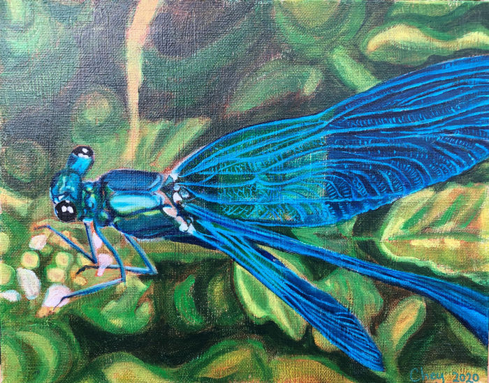 dragonfly.jpg