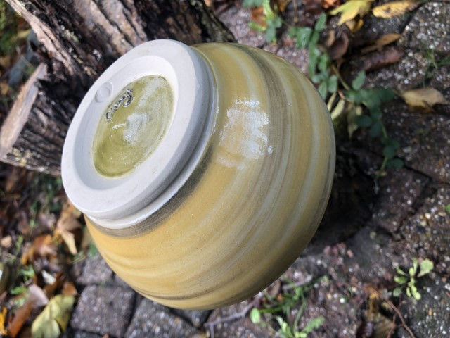 Thumbnail: marbled cobweb stew schaal - medium