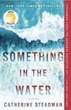 Something in the Water by Catherine Steadman