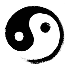 יין ויאנג YIN YANG
