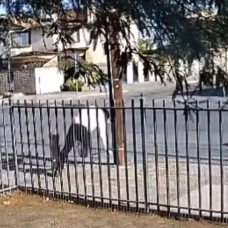 El ataque al periodista Jorge Heras, en Baja California, quedó registrado en cámaras de vigilancia. Foto Difundida en redes sociales