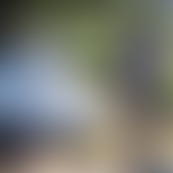 Van 2,695 casos de dengue en Querétaro