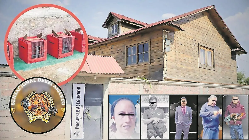 El lugar quedó asegurado tras el ataque y por ser utilizado de manera clandestina para peleas de gallos / Foto: Ángel Gutiérrez / Diario de Querétaro