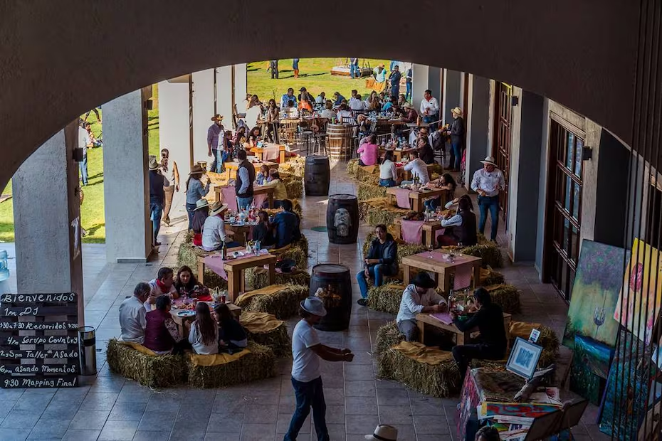 Foto: Viñedos Donato