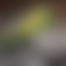 Apple da luz verde al iPhone plegable: será un formato concha para competir con los Galaxy Z Flip y Motorola razr