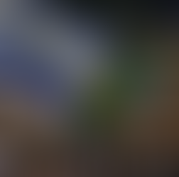 3 claves para entender las masivas protestas en Israel que le exigen a Netanyahu un cese al fuego en Gaza tras la muerte de 6 rehenes