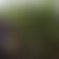 Las lluvias han beneficiado a las presas del estado, pero afectan cultivos de maíz en al menos cinco municipios / Foto: Hugo Arciniega / Diario de Querétaro