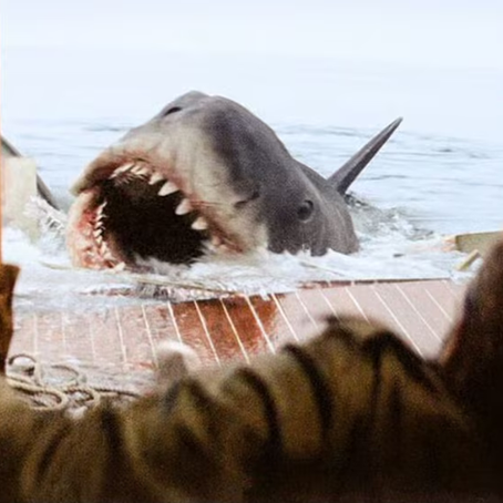 "Tiburón" redefinió el cine de verano y generó un miedo colectivo hacia los tiburones (Universal Pictures)
