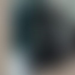 Aseguran ejemplar de mono araña en fraccionamiento de SJR