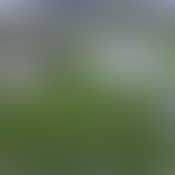 Hace casi un año llegó se tienen este problema en el espejo de agua / Foto: Cesar Ortiz / El Sol de San Juan del Río