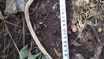 Reportan hallazgo de restos óseos humanos en San Juan del Río /Cortesía