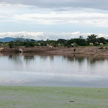 De manera rápida han incrementado sus niveles de agua los bordos. / Foto: Rosalía Nieves / El Sol de San Juan del Río.
