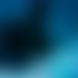 Ciberdelincuentes ponen a la venta más de 15 mil cuentas del Insejupy. El gobierno ya trabaja con la Canieti para proteger la información