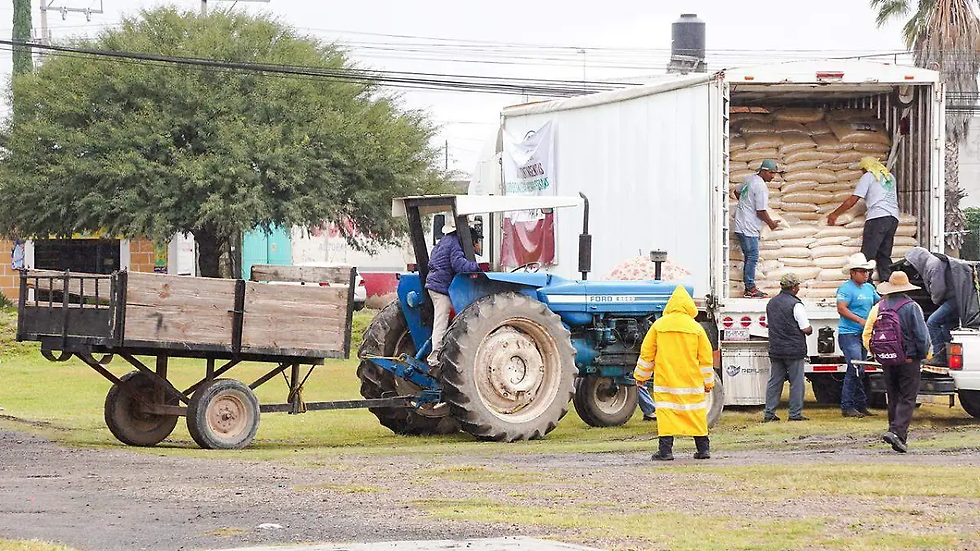 Más de 500 productores reciben apoyo tras las afectaciones registradas durante el ciclo agrícola / Foto: Cortesía / Municipio Pedro Escobedo