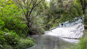 Pobladores señalaron que aguas han afectado la flora y la fauna del sitio / Foto: Cesar Ortiz / El Sol de San Juan del Río