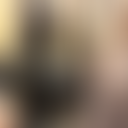 En Querétaro, desarticulan a grupo que traficaba armas entre Estados Unidos y Canadá