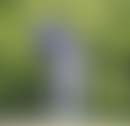 Scottie Scheffler (28), en la última jornada