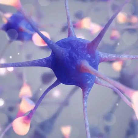 ¿Y si tus recuerdos te sobrevivieran? El estudio liderado por Zeleznikow-Johnston reveló que el 40% de los neurocientíficos consultados creyó posible la futura extracción de memorias de cerebros preservados.