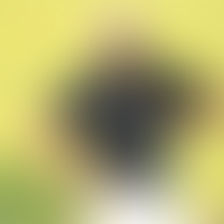 Jon Rahm, la felicidad y 75 millones en premios en dos temporadas