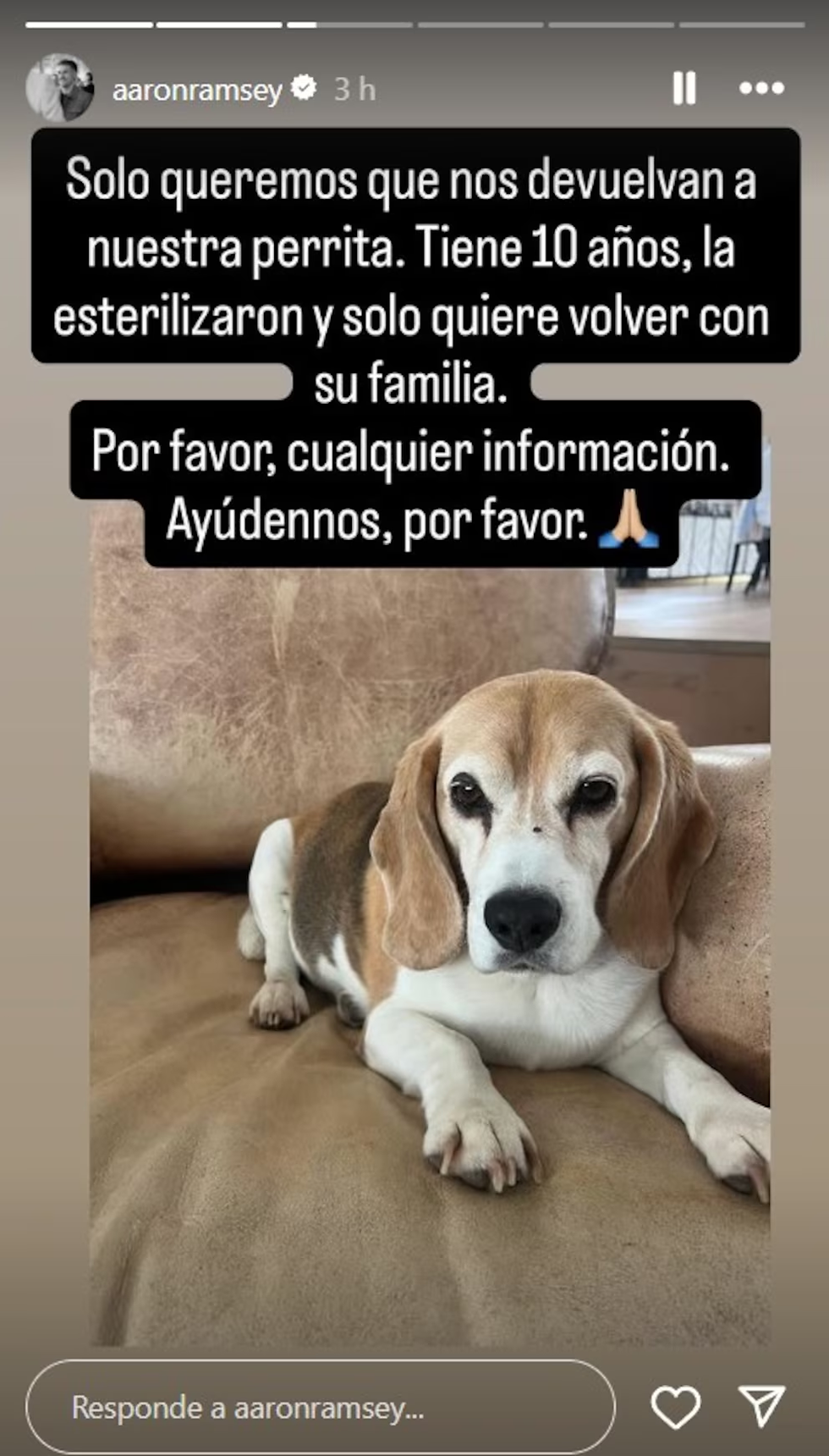 (Instagram / aaronramsey)