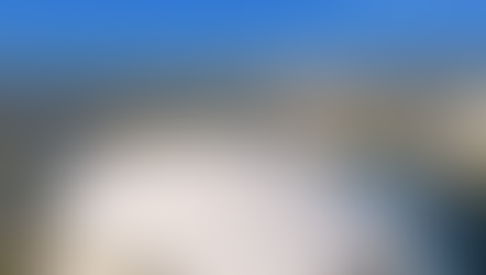 ST. PETERSBURG -- El Tropicana Field ha recuperado su distintiva imagen.