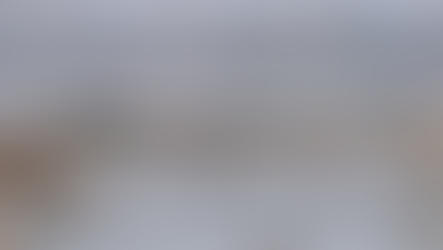 Familia de flamingos avistada en la lago Nabor Carrillo en el parque ecológico Lago de Texcoco. Foto: Gabriel Pano / EL UNIVERSAL