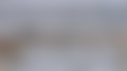 Familia de flamingos avistada en la lago Nabor Carrillo en el parque ecológico Lago de Texcoco. Foto: Gabriel Pano / EL UNIVERSAL