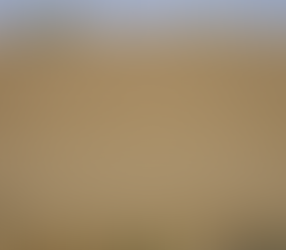 La Casa Blanca informa 'pacto de cereales' con Ucrania y Rusia