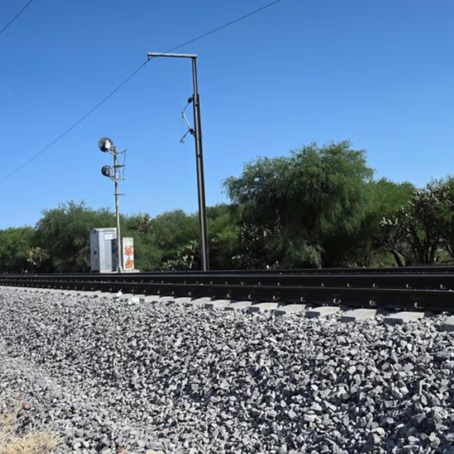     Protegerán arbolado por obras del tren en Bernardo Quintana /cortesía.