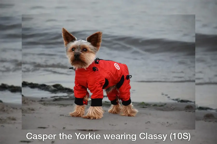 Thumbnail: Zippy Dynamics | Classy Full Body Suit