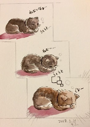 ねおちねこ