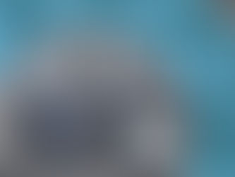 Die Bischof Anlagenbau AG bietet ...