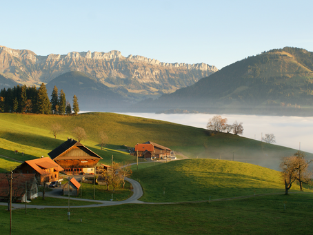 «Käsevielfalt aus dem ersten Schweizer Naturpark»