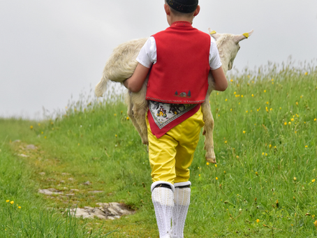 Innovativer Familienbetrieb aus Gonten