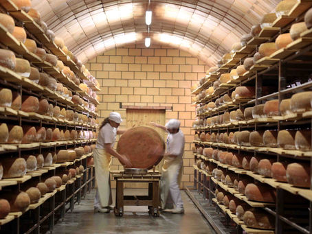 Qualitativ hochwertige Milch, erfahrene Käserinnen und Käser, viel Zeit und eine sorgfältige Pflege – das braucht es für guten Käse.