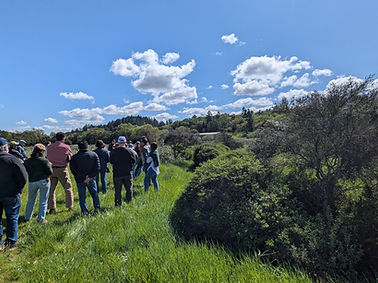Hedgerow tour