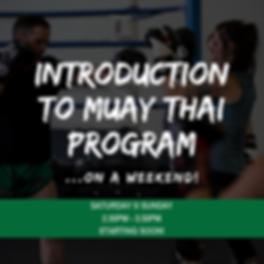 Introduction to muay thai (3).png