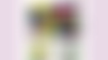 石渡芙美     玄光社『イラストレーションファイル 2026』 下巻 P197 に掲載していただいてます  