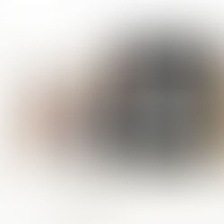 石渡芙美 ザ・チョイス 第236回 入選しました。