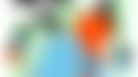  pum 個展のおしらせ