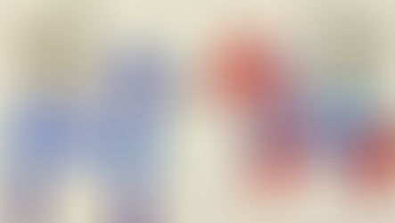 スイミングクラブ　展示情報