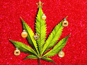 Holiday Picks