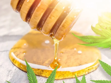 Cannabis & Honey 🍯