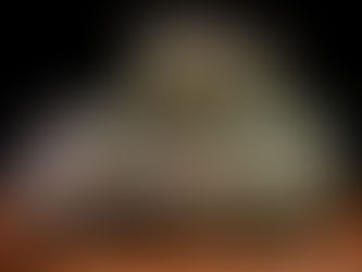 Experience Ottawa's Best Weed