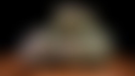 Experience Ottawa's Best Weed