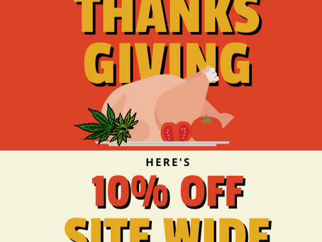 🎉 Thanksgiving Sale is on Now 🦃 