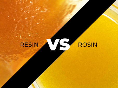ROSIN VERSUS RESIN: WHAT’S THE DIFFERENCE?