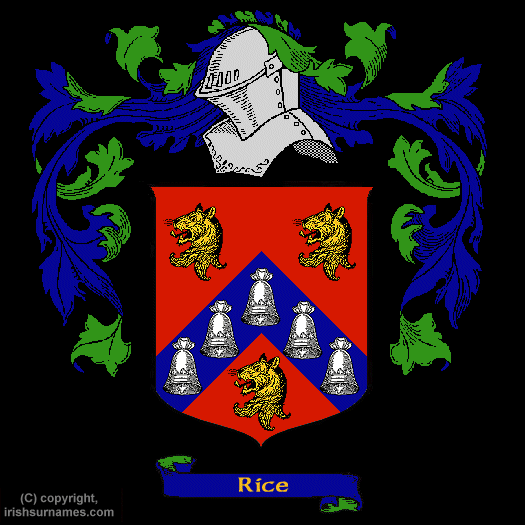 rice-coat-of-arms-family-crest.gif