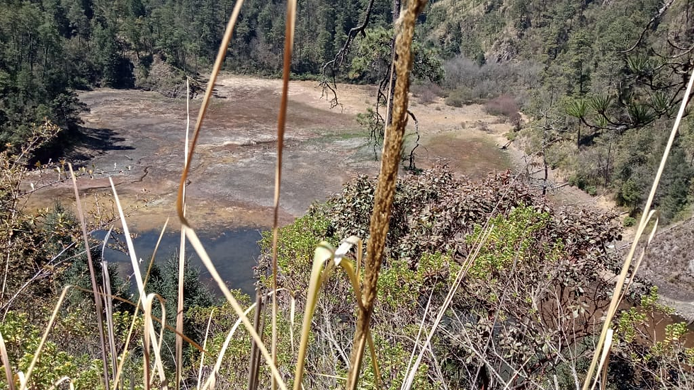 Humedades y oquedades solo han quedado, en los espacios que ocupaban embalses de las Lagunas de Ocuilan. Foto: Tere Montaño